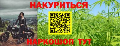 прущие крисы Бийск