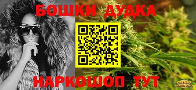 прущие крисы Бийск