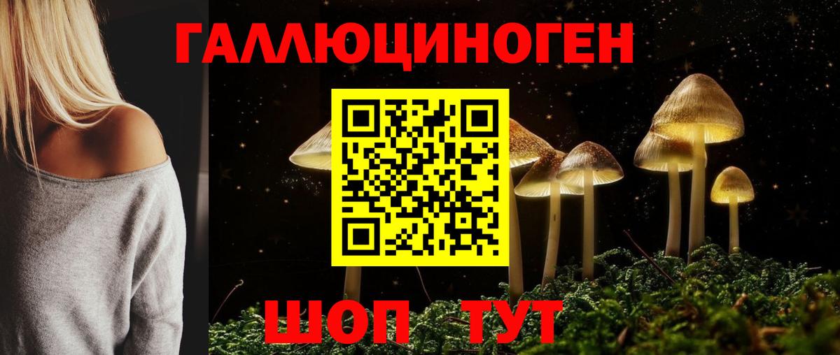 Псилоцибиновые грибы прущие грибы  продажа наркотиков  Губкинский  Псилоцибиновые грибы мицелий  Вход с VPN 