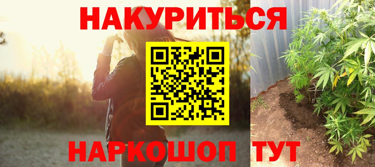 Бошки марихуана конопля Губкинский
